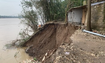  &apos;Câu chuyện hạt cà phê Việt&apos;: Nestlé Việt Nam tri ân người nông dân trồng cà phê tại các tỉnh Tây Nguyên 