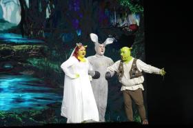 Thùy Chi, Quang Tuấn bất ngờ với dàn diễn viên của nhạc kịch &quot;Shrek&quot;  第2张