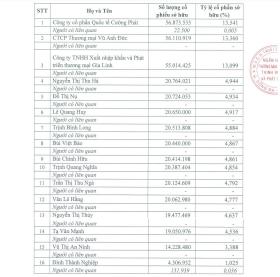 Lộ diện 16 cổ đông và người liên quan nắm giữ trên 97% vốn điều lệ PGBank  第1张