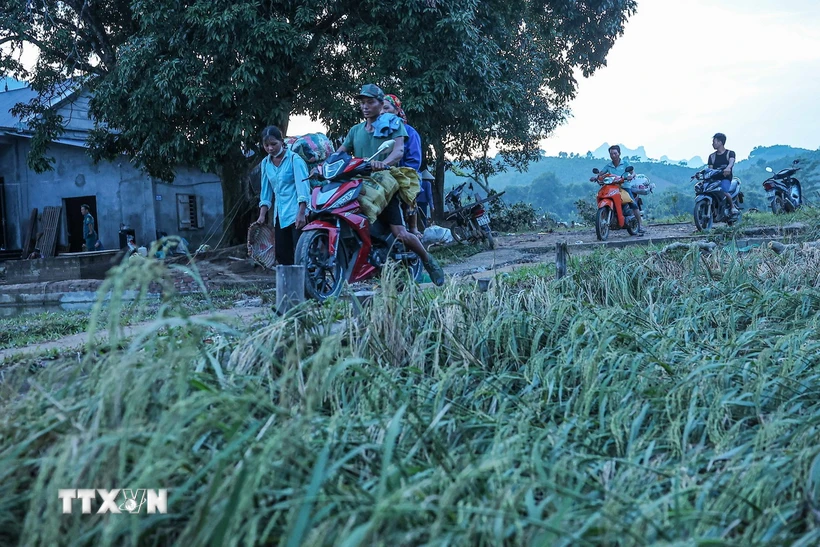  Thứ trưởng Nông nghiệp: Đáp ứng đủ giống cây trồng để khôi phục sản xuất sau bão 第1张