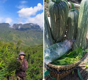  Xúc động hành của người nghèo, tàn tật ở Quảng Trị hướng về đồng bào miền Bắc 第1张