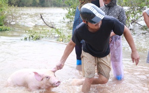 Trung tâm Khí tượng cảnh báo các điểm ngập sâu ở Hà Nội do mưa lớn còn kéo dài thêm vài giờ