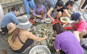 Quảng Bình: Nước lên cao 2m, nông dân Tân Hoá quá quen, lên nhà phao ở, bình thản với lũ