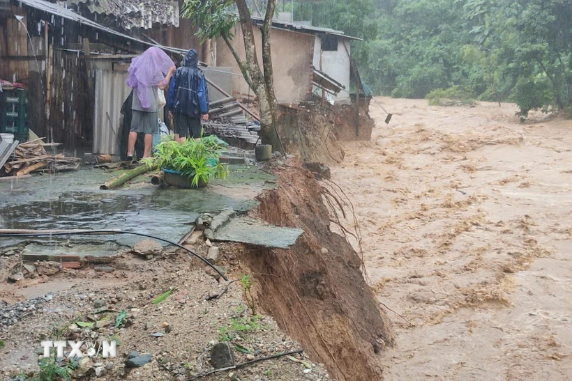  Rà soát, bảo vệ các trọng điểm đê xung yếu tại Thanh Hóa 