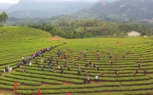 Trung ương Hội Nông dân Việt Nam tổ chức đối thoại chính sách pháp luật về an toàn thực phẩm với nông dân Lào Cai