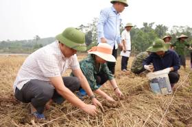 Yên Bái ban hành Nghị quyết Quy định một số nội dung và mức hỗ trợ thiệt hại sản xuất nông nghiệp do ảnh hưởng của bão số 3 (Yagi)