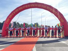 Mê mẩn tuyến đường 7km trị giá gần 800 tỷ đồng đi xuyên rặng dừa, vừa khánh thành tại Bình Định  第1张