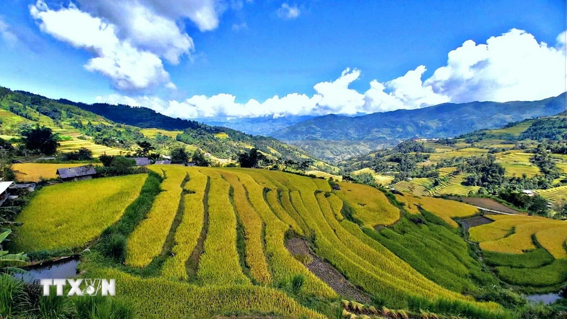  Khám phá Hà Giang qua miền di sản ruộng bậc thang Hoàng Su Phì 