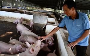 Trường Trung cấp Nông dân Việt Nam hoàn tất đánh giá nghiệm thu các chương trình đào tạo nghề ngắn hạn năm 2024  第4张