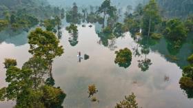  Phong Nha - Kẻ Bàng mong muốn trở thành Khu dự trữ sinh quyển thế giới 