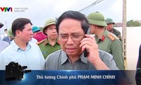  &apos;Đào, phở và piano&apos; đánh bại phim của Lý Hải, Trấn Thành dự sơ tuyển Oscar 第8张