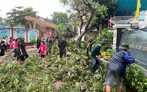 Dự thảo Luật Nhà giáo: Cần đảm bảo tính chủ động trong tuyển dụng và sử dụng nhà giáo