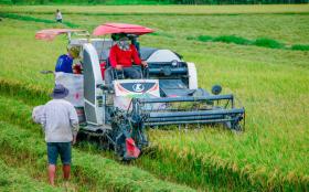 Nông dân Việt Nam xuất sắc 2024 làm gì mà lời tới 20 tỉ đồng/năm?