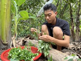 Nam sinh đậu báo chí ĐH Cần Thơ 27 điểm: Từng thầm mong cha hay mẹ hãy nuôi mình