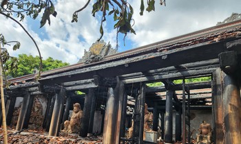  Tìm lại loài cá ‘ma’ khổng lồ trên sông Mekong 