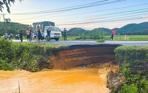 Gần 100 cây sầu riêng ngã đổ, bật gốc sau lốc xoáy tại Lâm Đồng  第7张