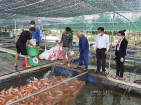 Quảng Nam: Phát triển kinh tế làm đòn bẩy để Duy Xuyên hướng đến huyện nông thôn mới nâng cao