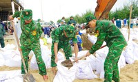  Thừa Thiên-Huế: Gió giật đổ cây xanh, yêu cầu người dân không ra đường 