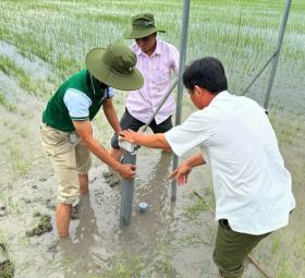 Trồng lúa sạch ứng dụng công nghệ, tăng thu nhập cho nông dân